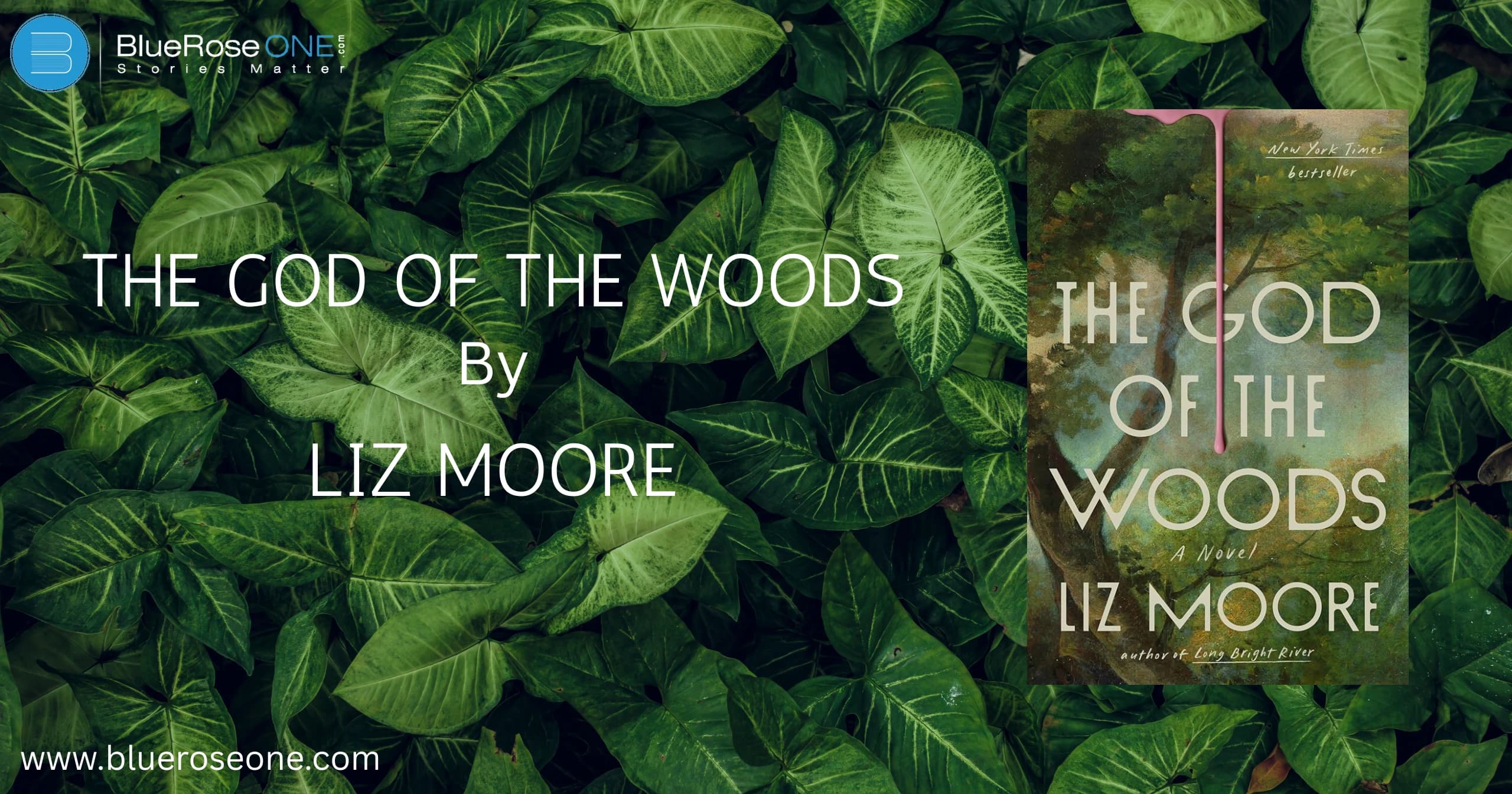 The God of the woods a Novel By Liz Moore Book Summary