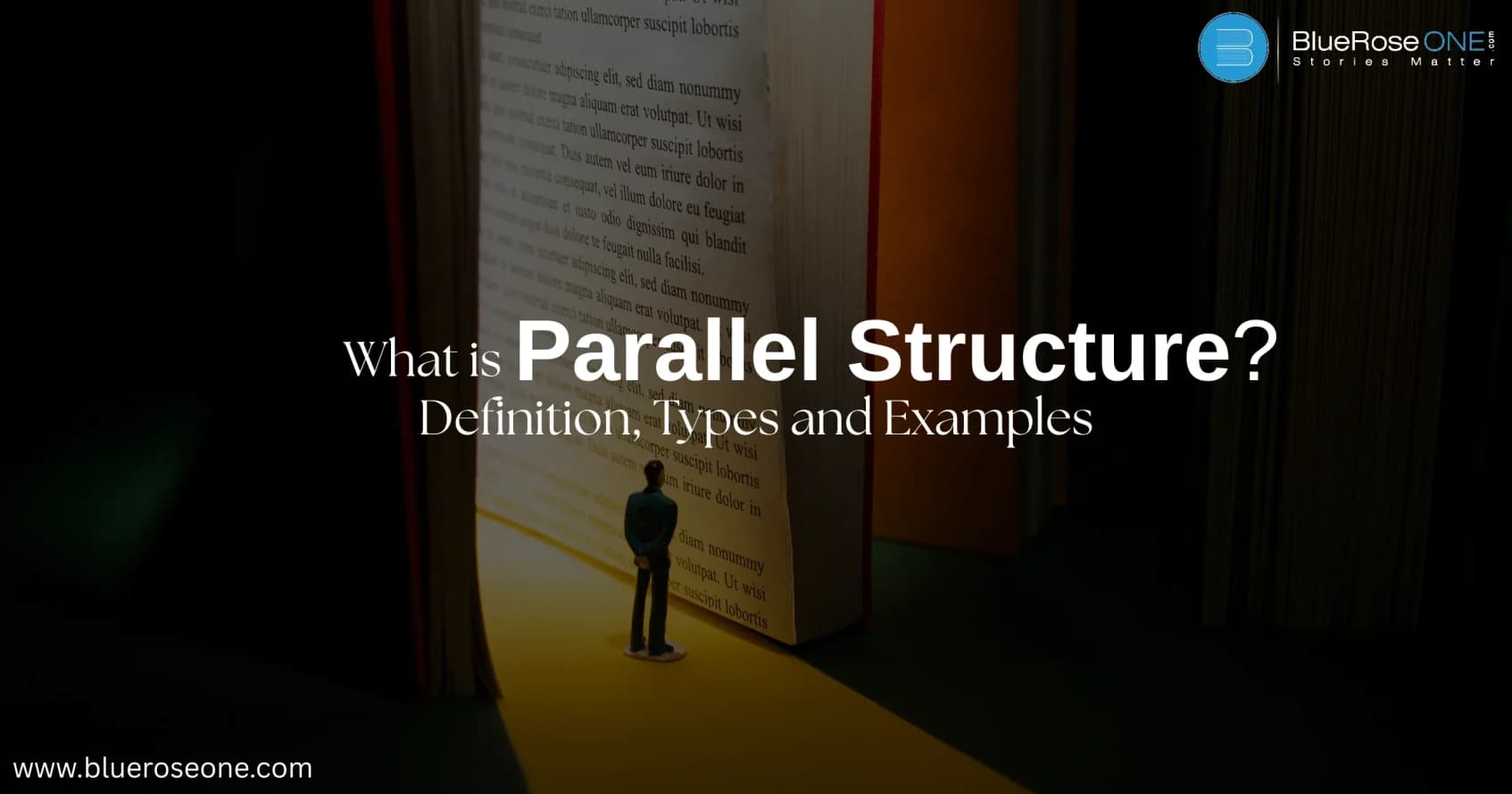 What is Parallel Structure Definition, Types & Examples