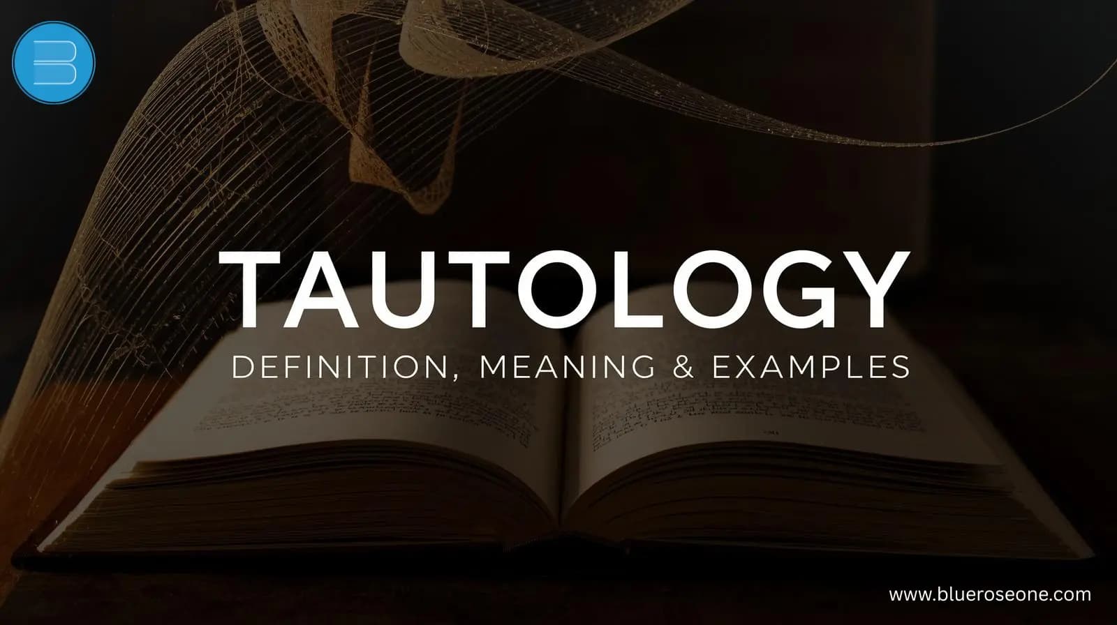 what is tautology definition, meaning with examples